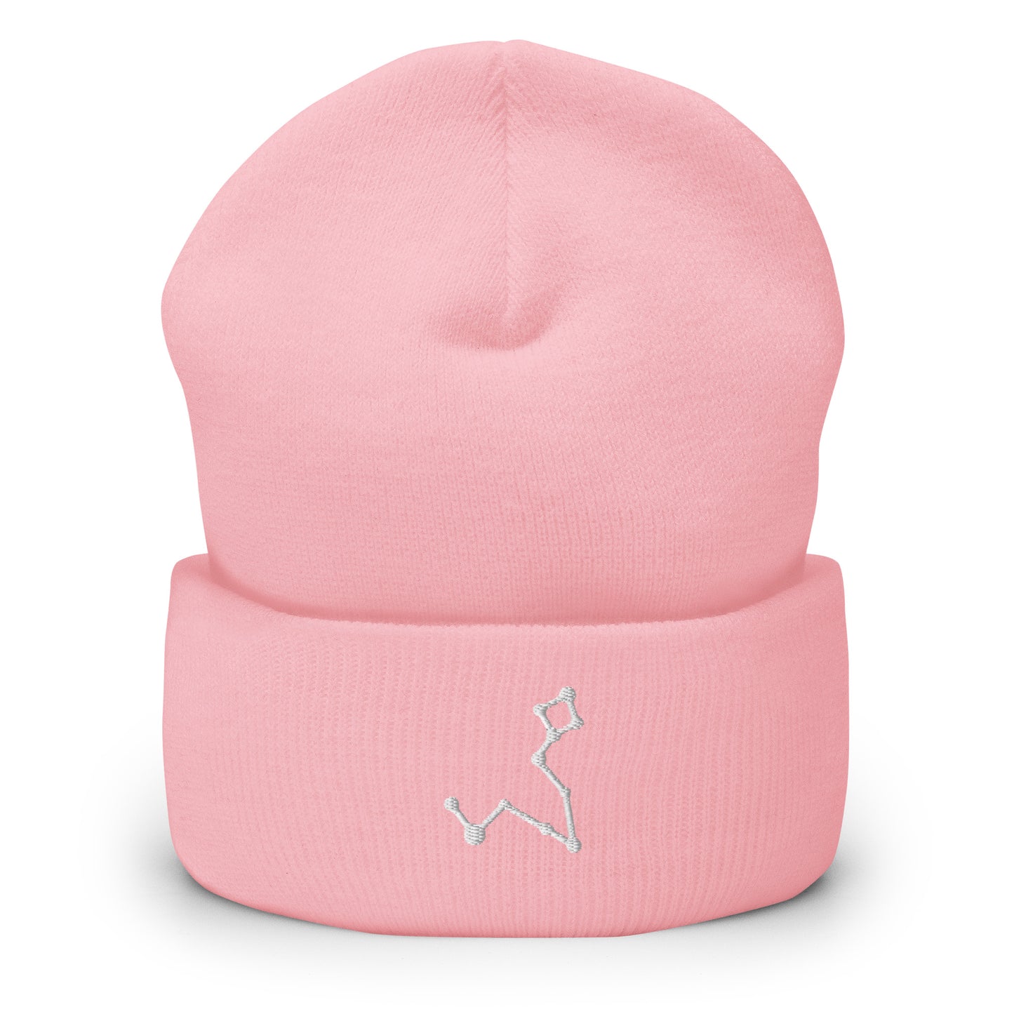 pisces beanie