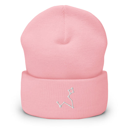 pisces beanie