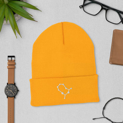 gemini beanie