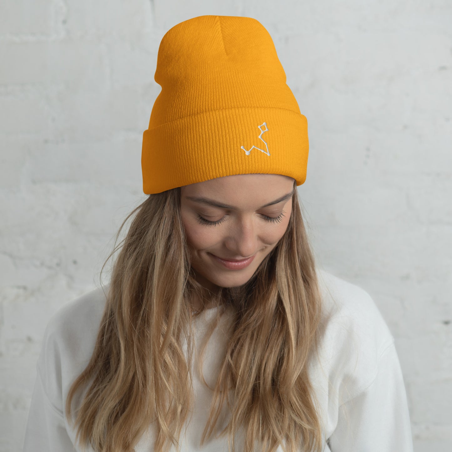pisces beanie