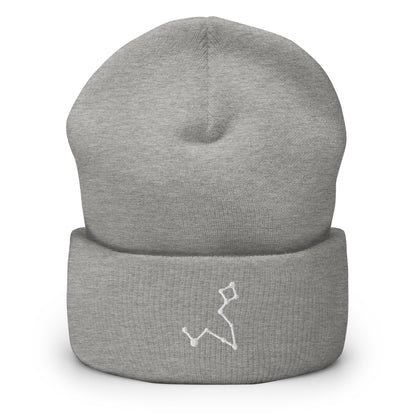 pisces beanie