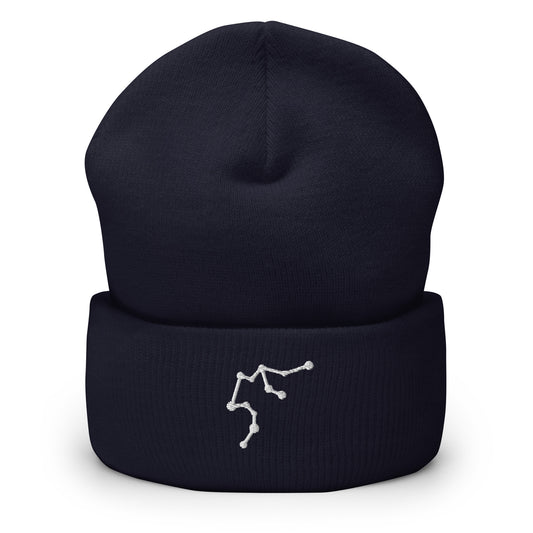 aquarius beanie