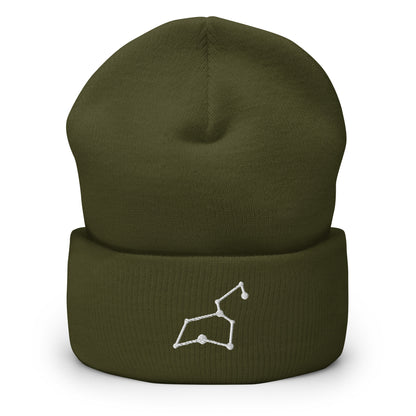leo beanie