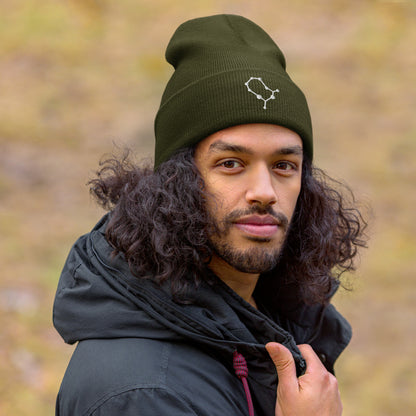 gemini beanie