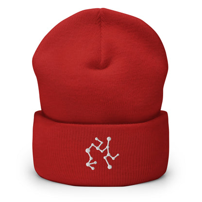 sagittarius beanie