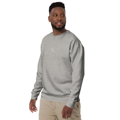 capricorn embroidered sweater