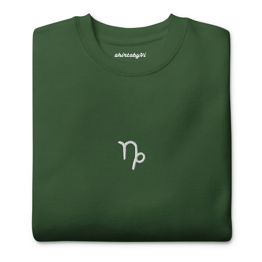 capricorn embroidered sweater