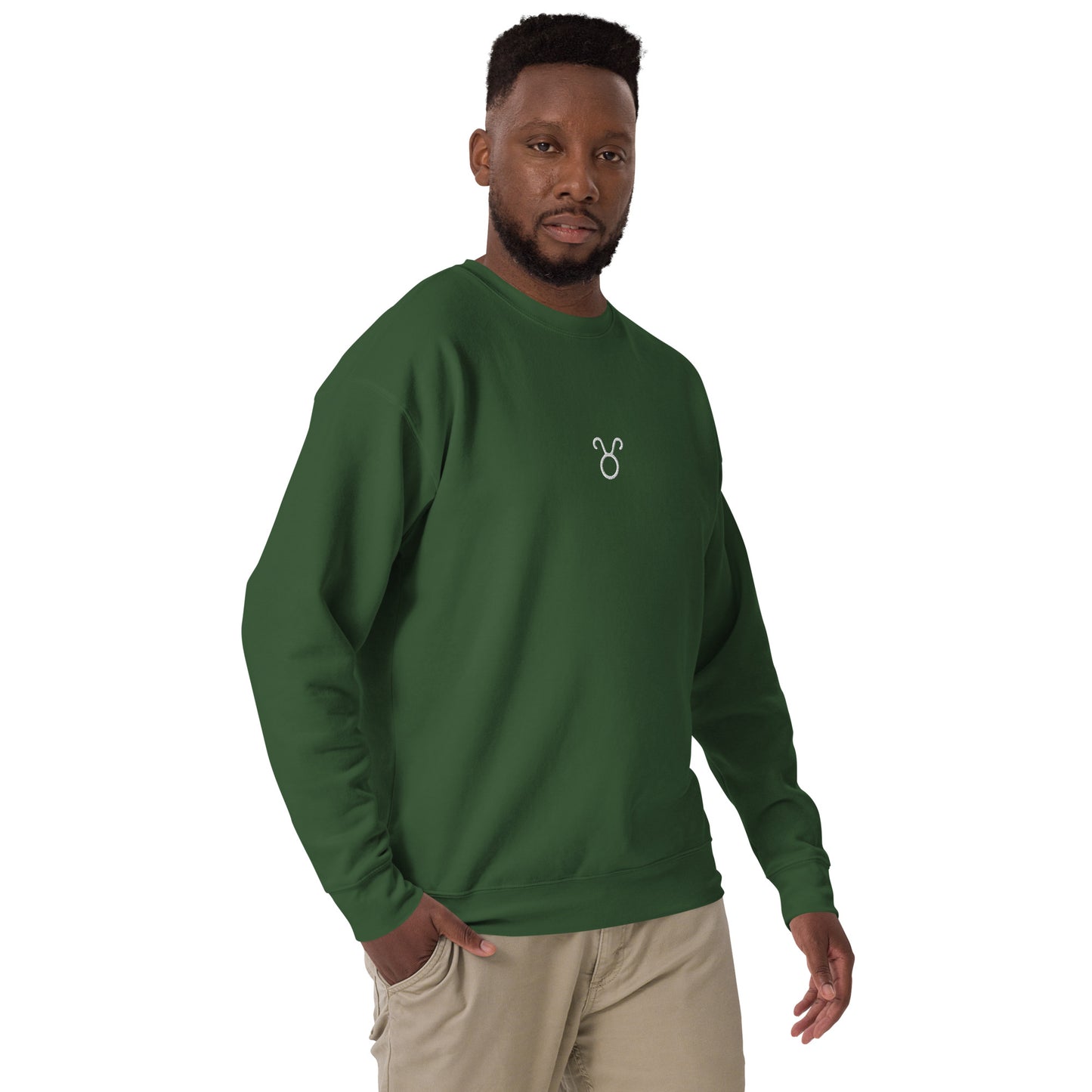 taurus embroidered sweater