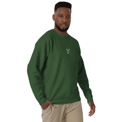 taurus embroidered sweater