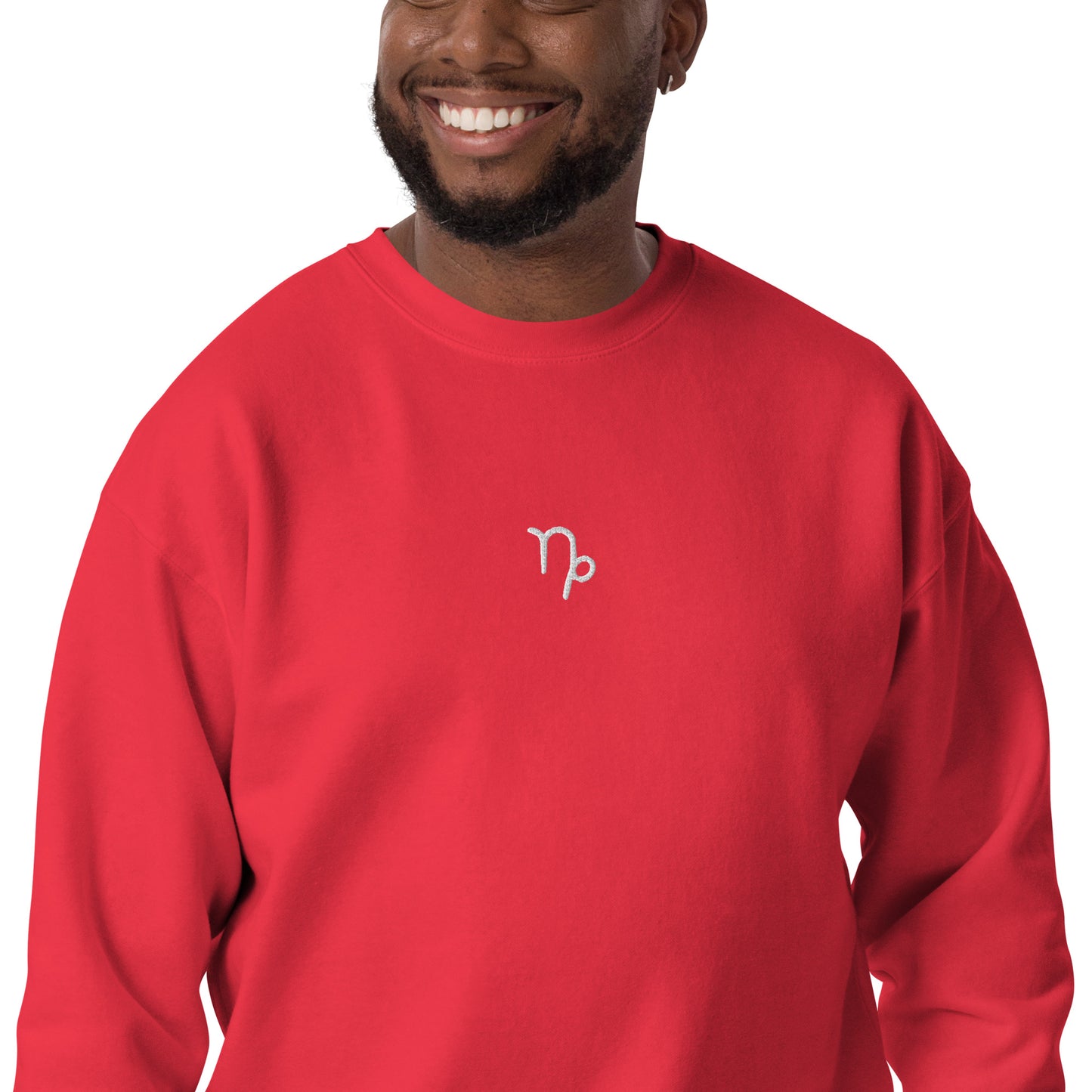 capricorn embroidered sweater